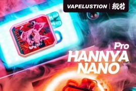 VAPELUSTION 般若注油电子烟套装